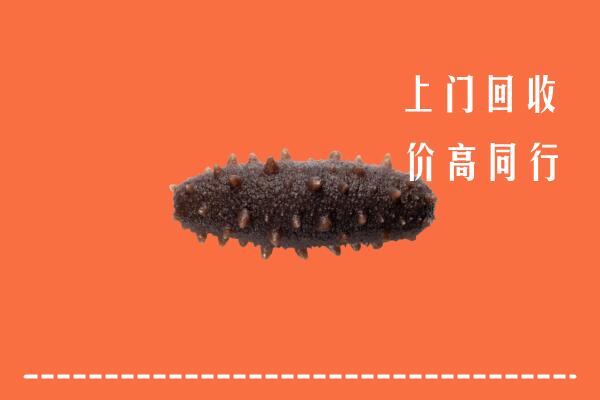 临桂区回收海参